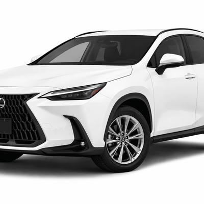 Lexus NX (2022–2026) Precut Chrome Delete Window Trim