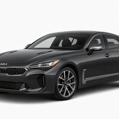 Kia Stinger (2018–2023) Precut Chrome Delete Kit