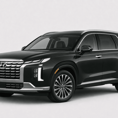 Hyundai Palisade (2020–2025) Precut Chrome Delete Kit